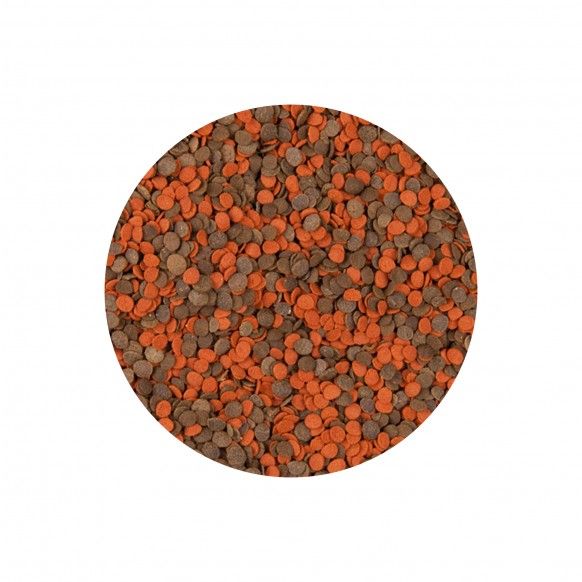 ALIMENTO P/ CICLIDEOS CHIPS - 130GR
