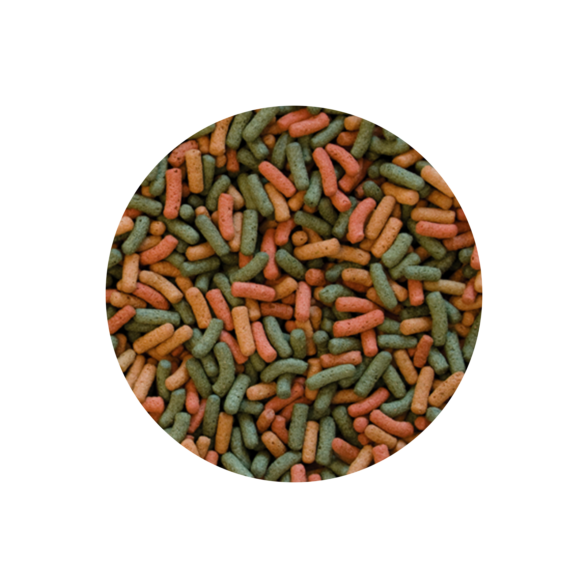 ALIMENTO P/ TARTARUGAS BIOREPT - 30GR