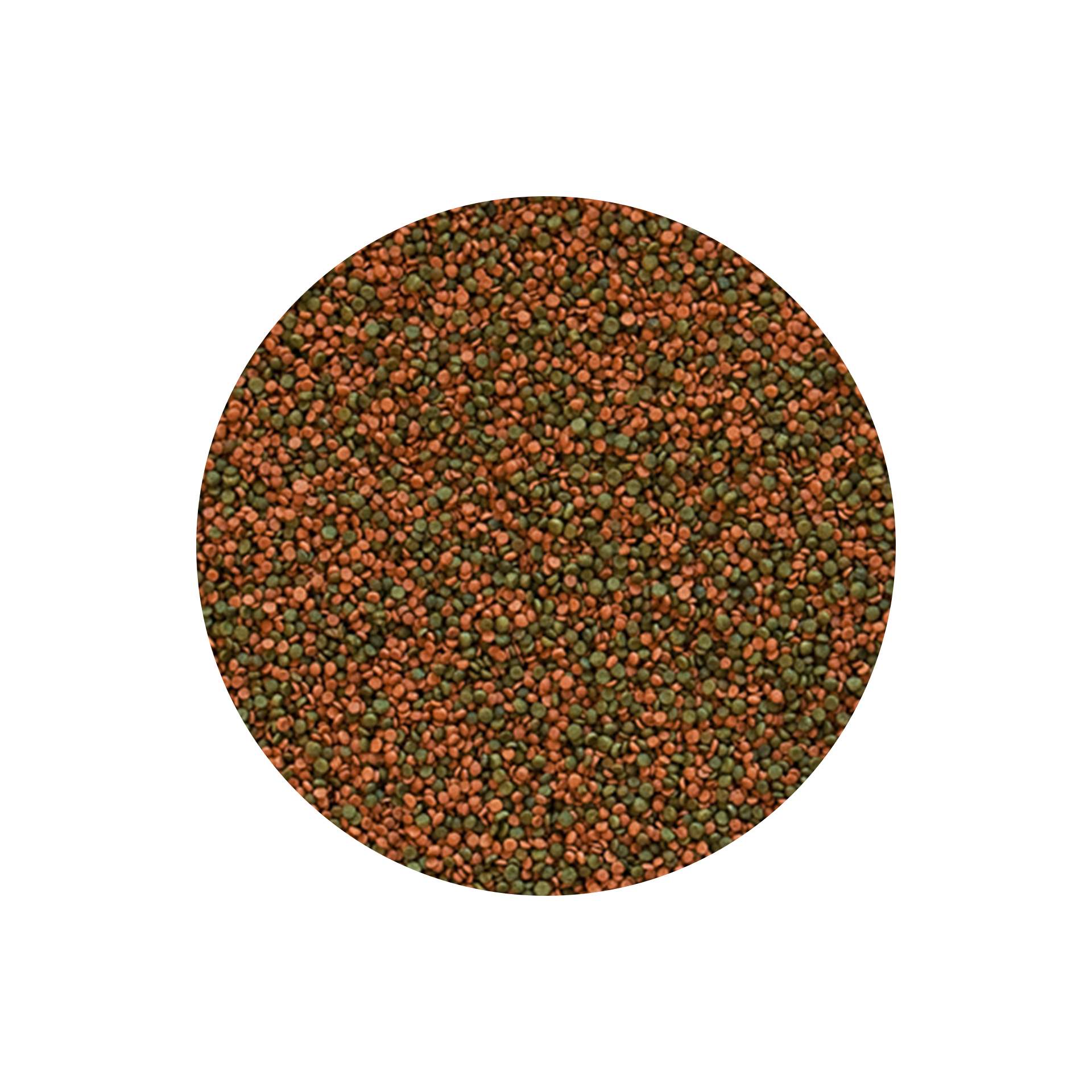 GRANULADO P/ CICLIDEOS - 550GR