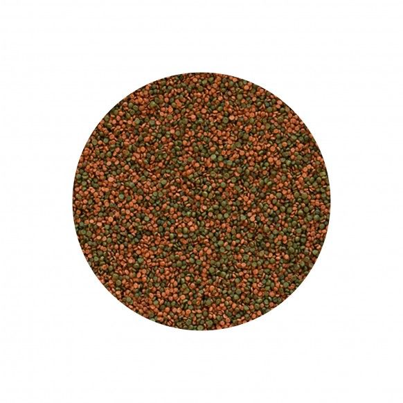 GRANULADO P/ CICLIDEOS - 550GR