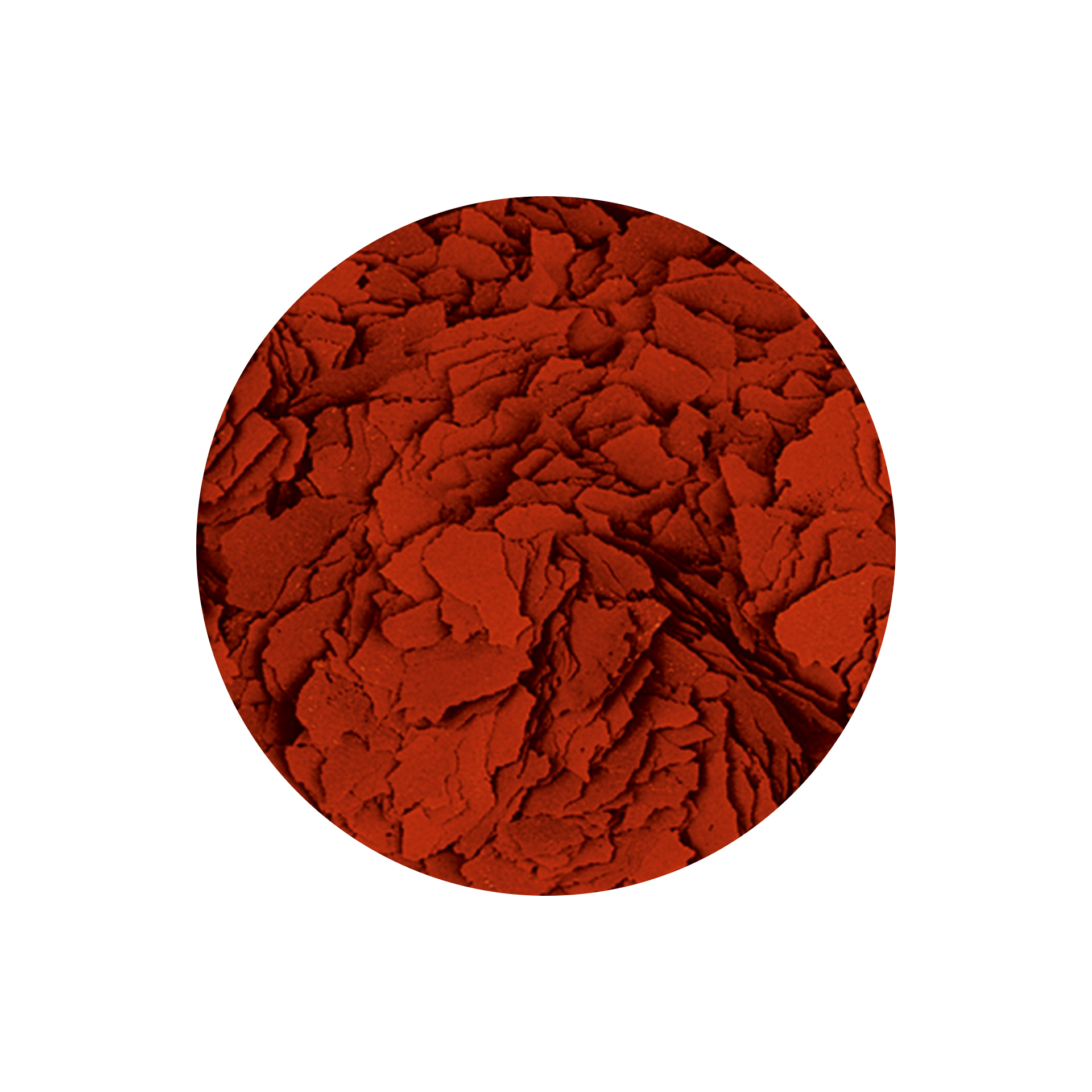 ASTACOLOR INTENSIFICADOR DE COR P/ DISCUS - 100GR