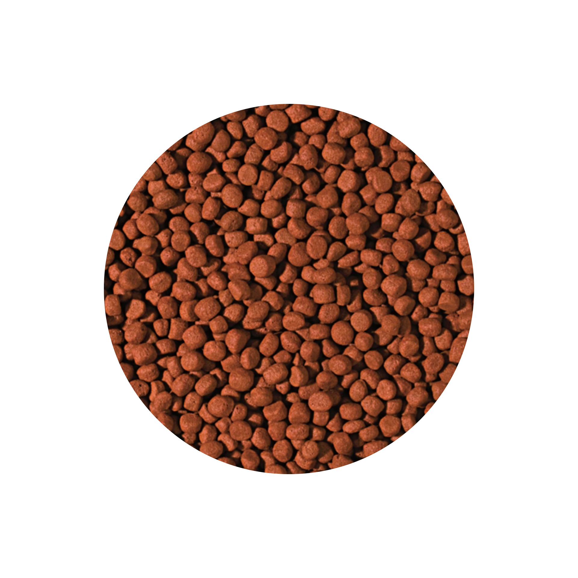 ALIMENTO P/ CICLIDEOS CARNIVOROS MEDIUM PELLET - 180GR