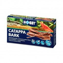 CASCAS DE CATAPPA - 12UN