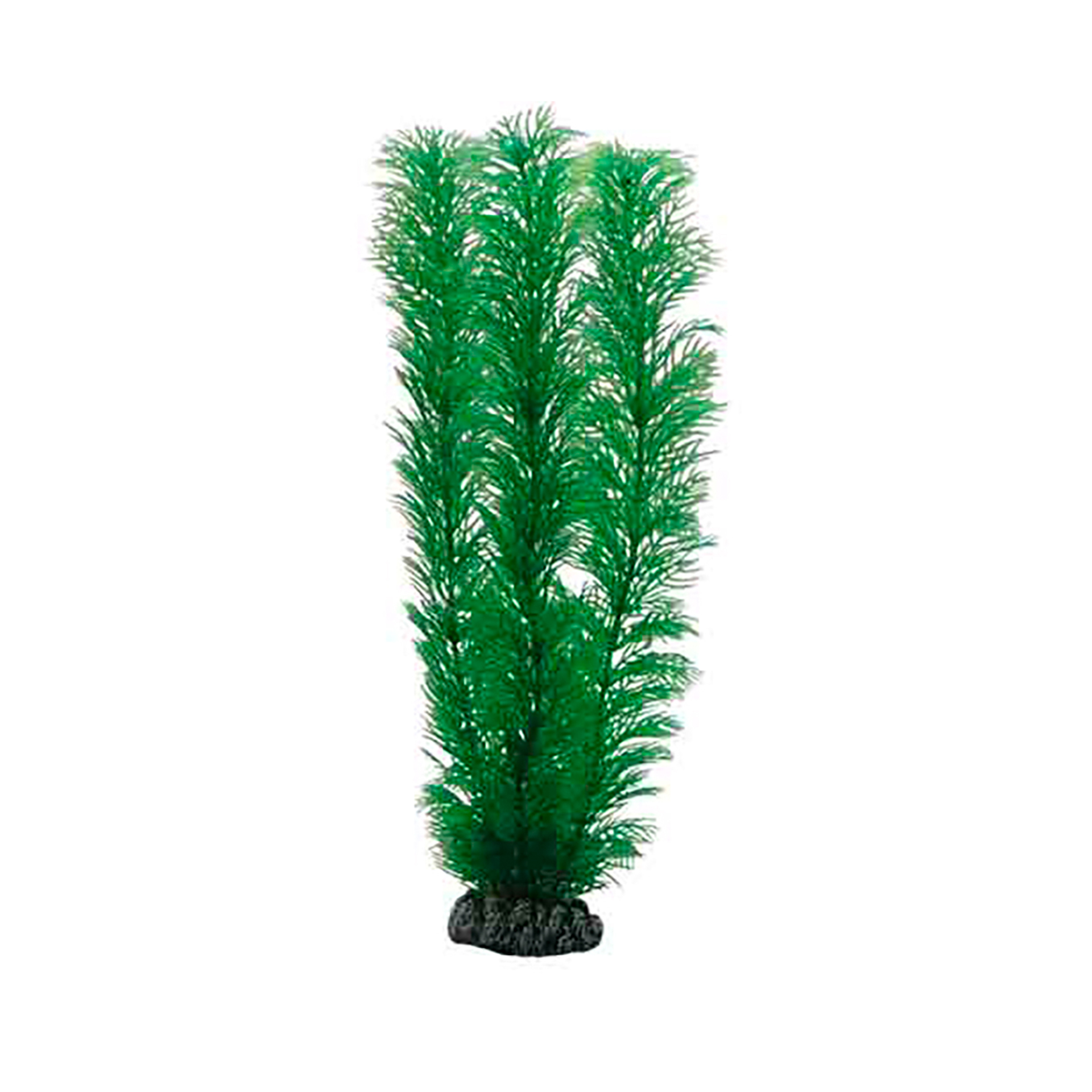 PLANTAS SET 1 (KIT 3 PLANTAS)