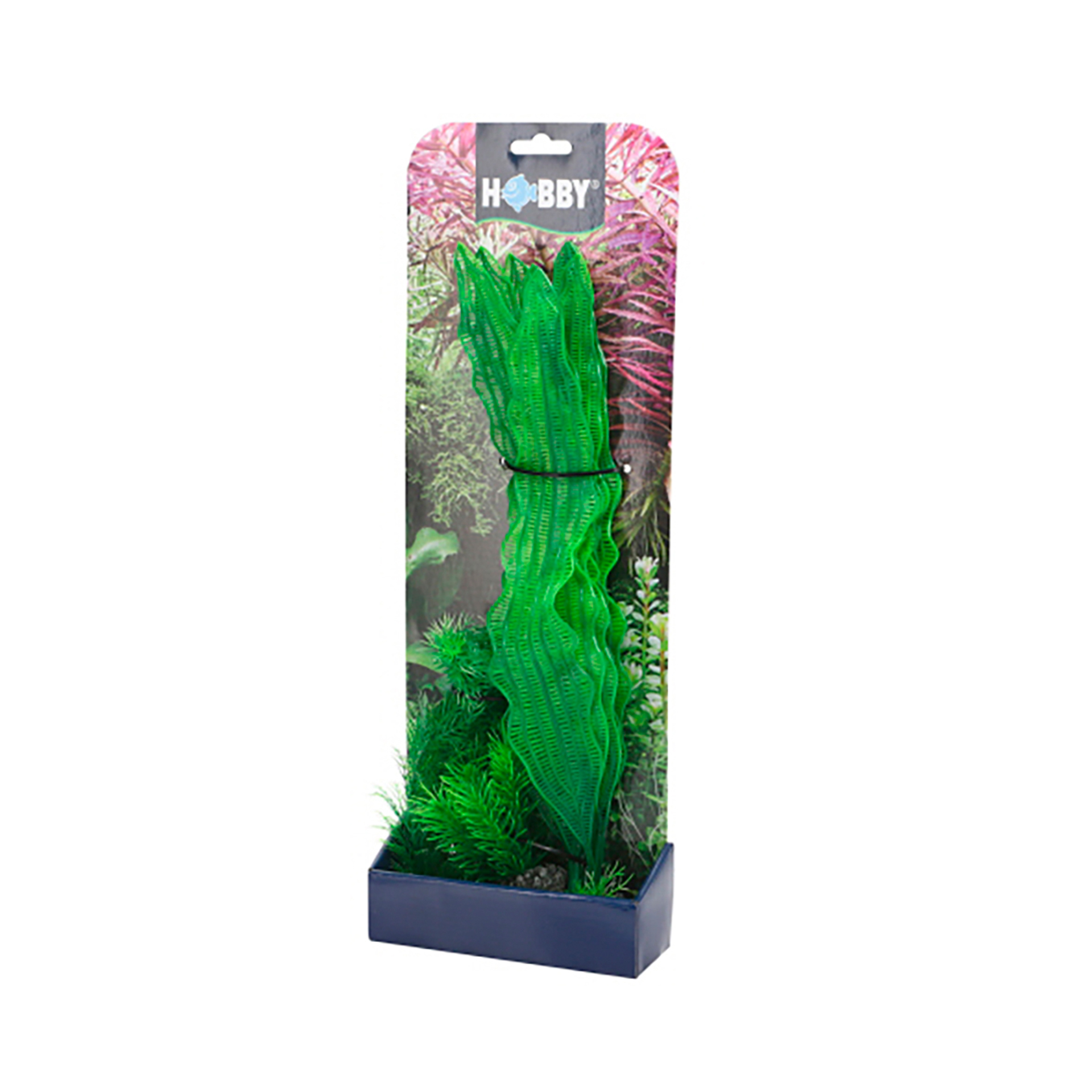 PLANTAS SET 1 (KIT 3 PLANTAS)