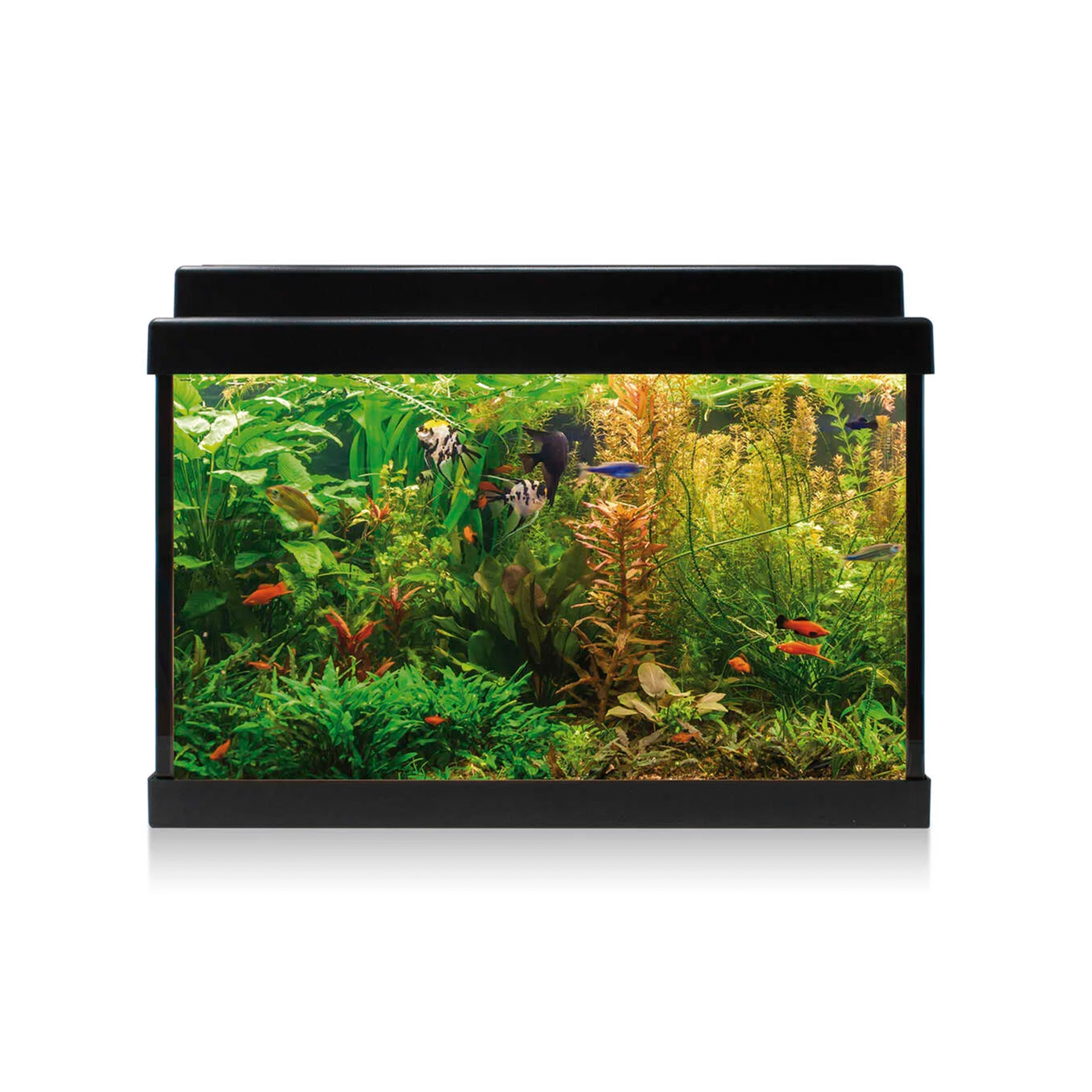 AQUARIO KIT C/ FILTRO INTERIOR - 20LT