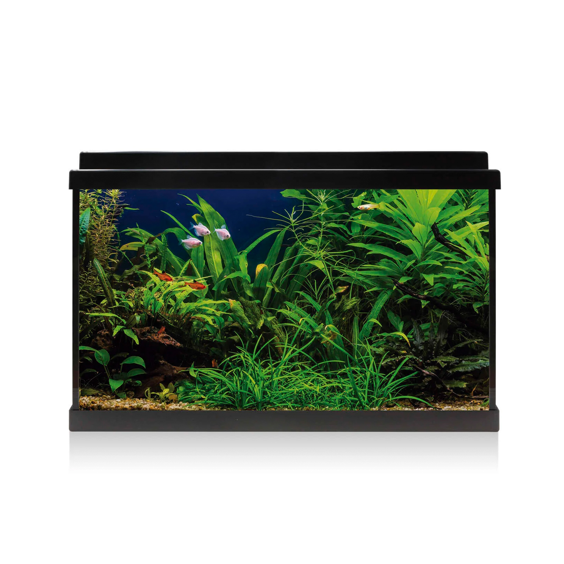 AQUARIO KIT C/ FILTRO INTERIOR - 60LT