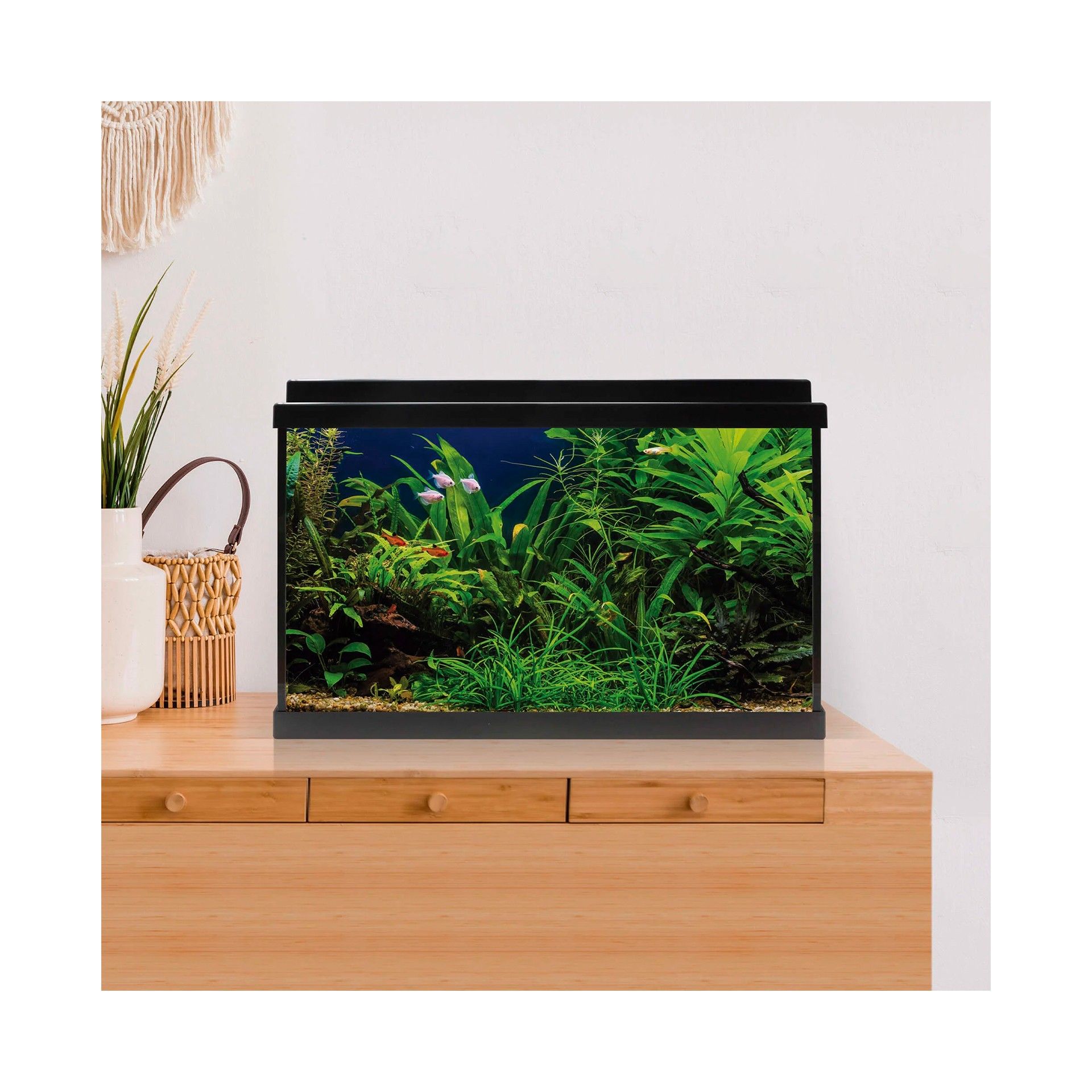 AQUARIO KIT C/ FILTRO INTERIOR - 60LT