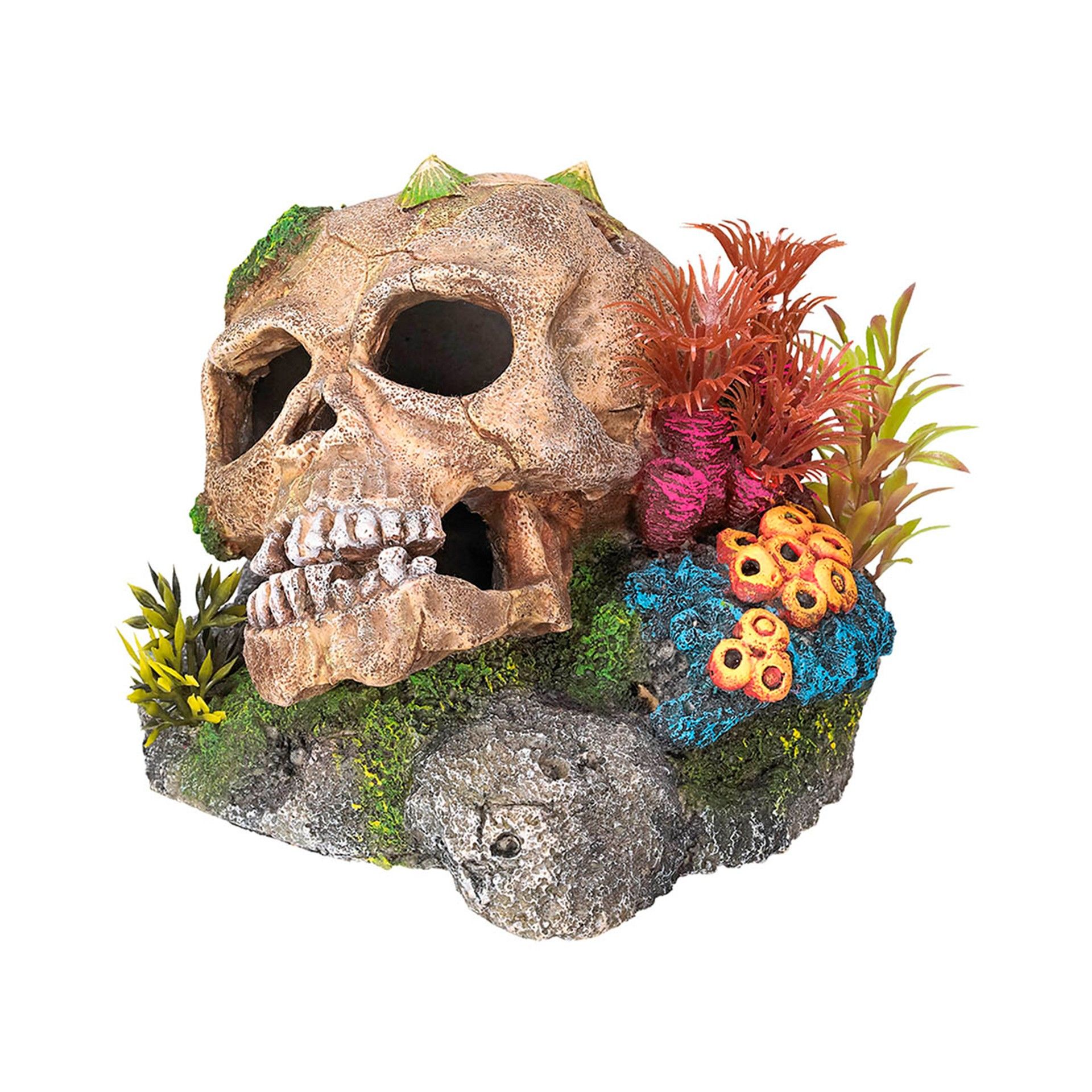 DECORAÇAO P/ AQUARIO (CAVEIRA C/ CORAIS)