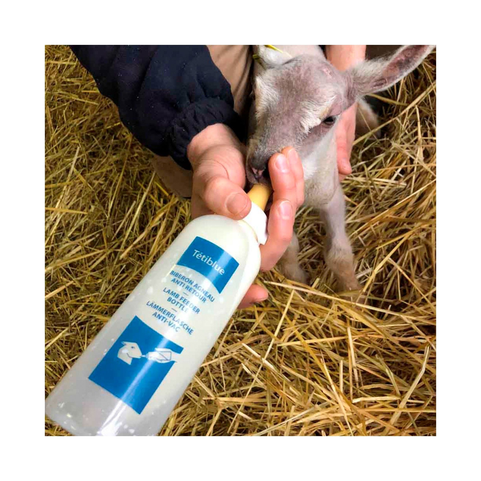 GARRAFA P/ BORREGO - 500ML