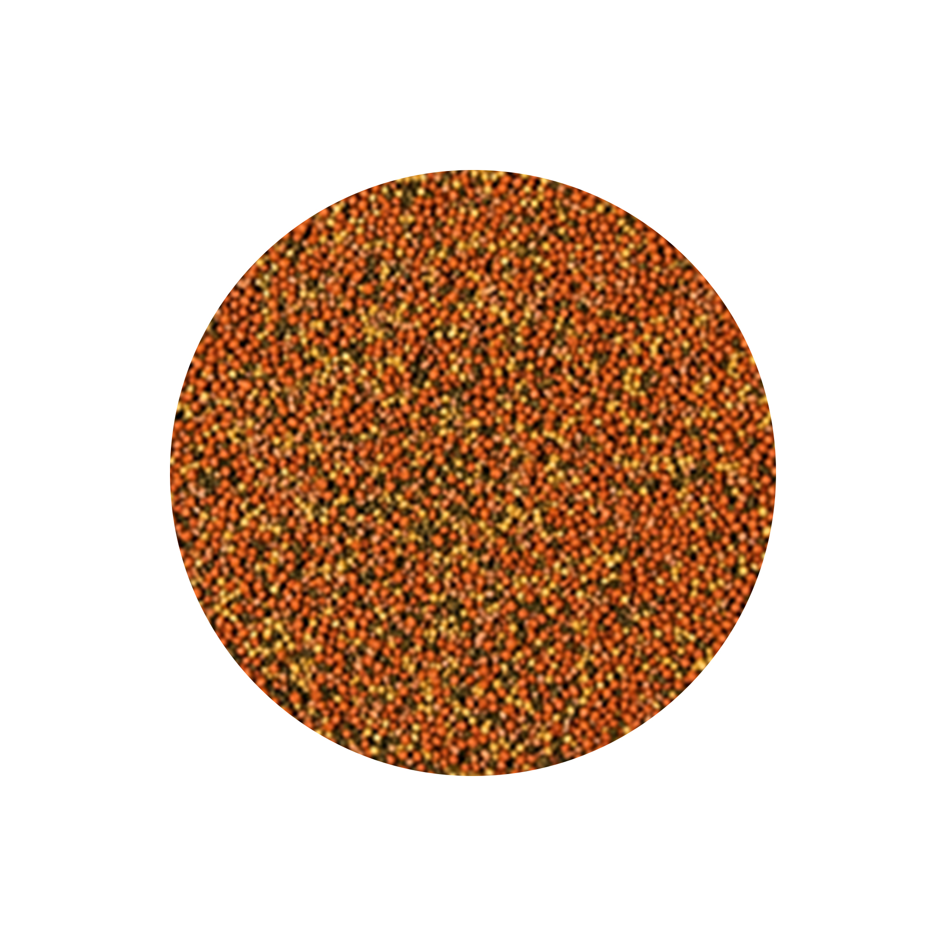 ALIMENTO P/ PEIXES SUPERVIT MINI GRANULADO - 10GR
