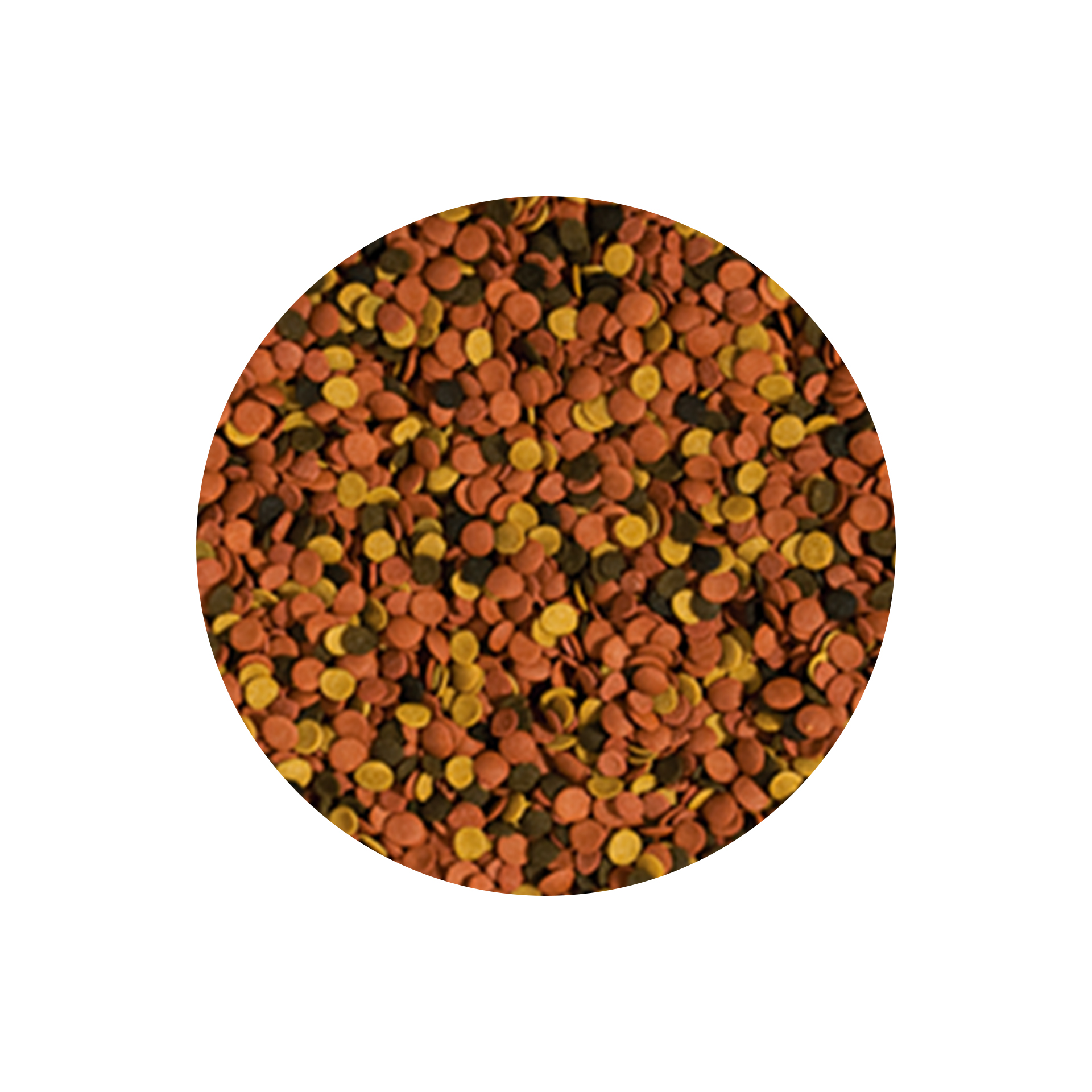 ALIMENTO P/ PEIXES SUPERVIT CHIPS - 52GR