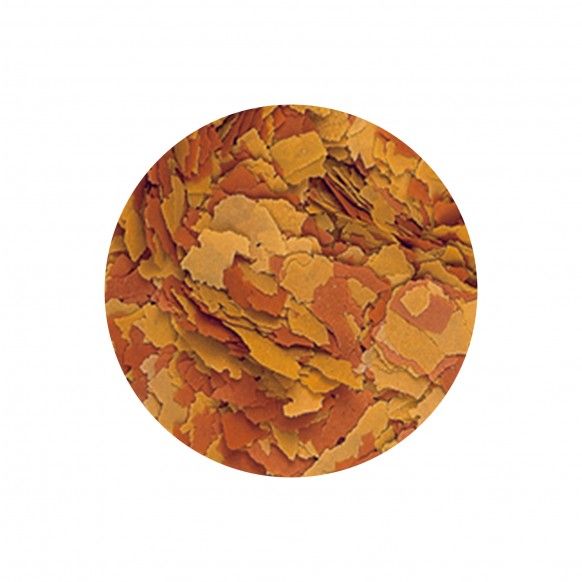 ALIMENTO P/ PEIXES VITALITY&COLOUR FLAKES - 20GR