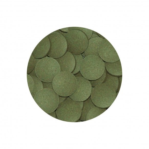 ALIMENTO P/ PLECOS EM PLASTILHAS - 135GR