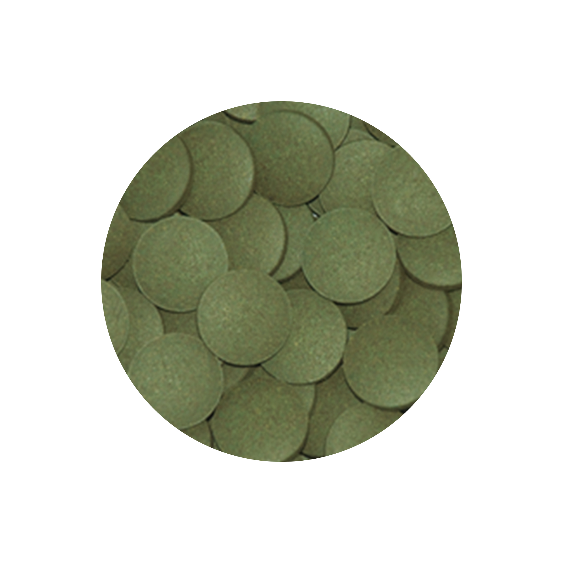 ALIMENTO P/ PLECOS EM PLASTILHAS - 135GR