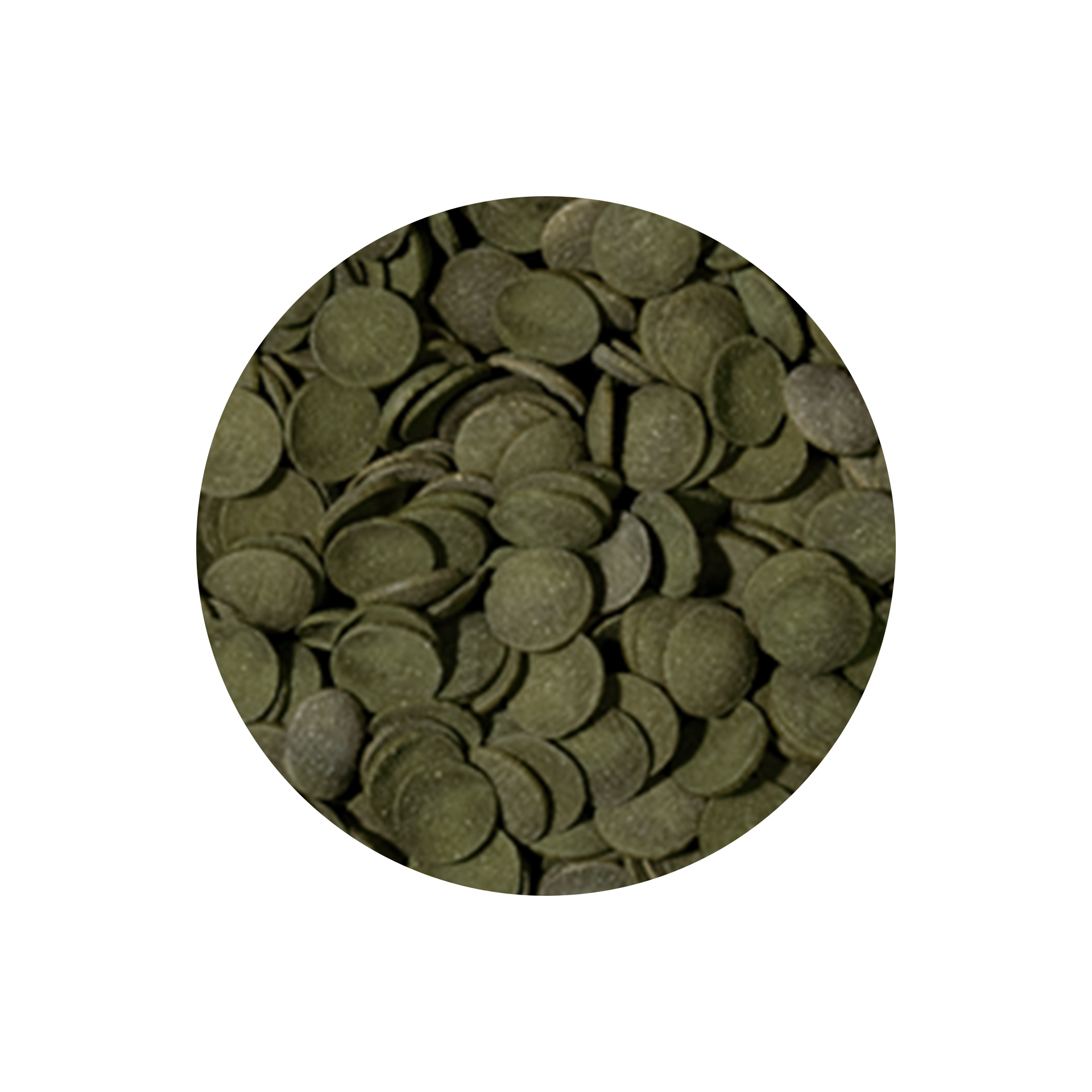 ALIMENTO P/ PEIXES ALGAS WAFER - 113GR