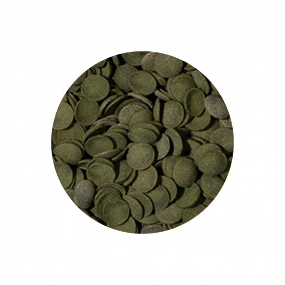 ALIMENTO P/ PEIXES ALGAS WAFER - 113GR