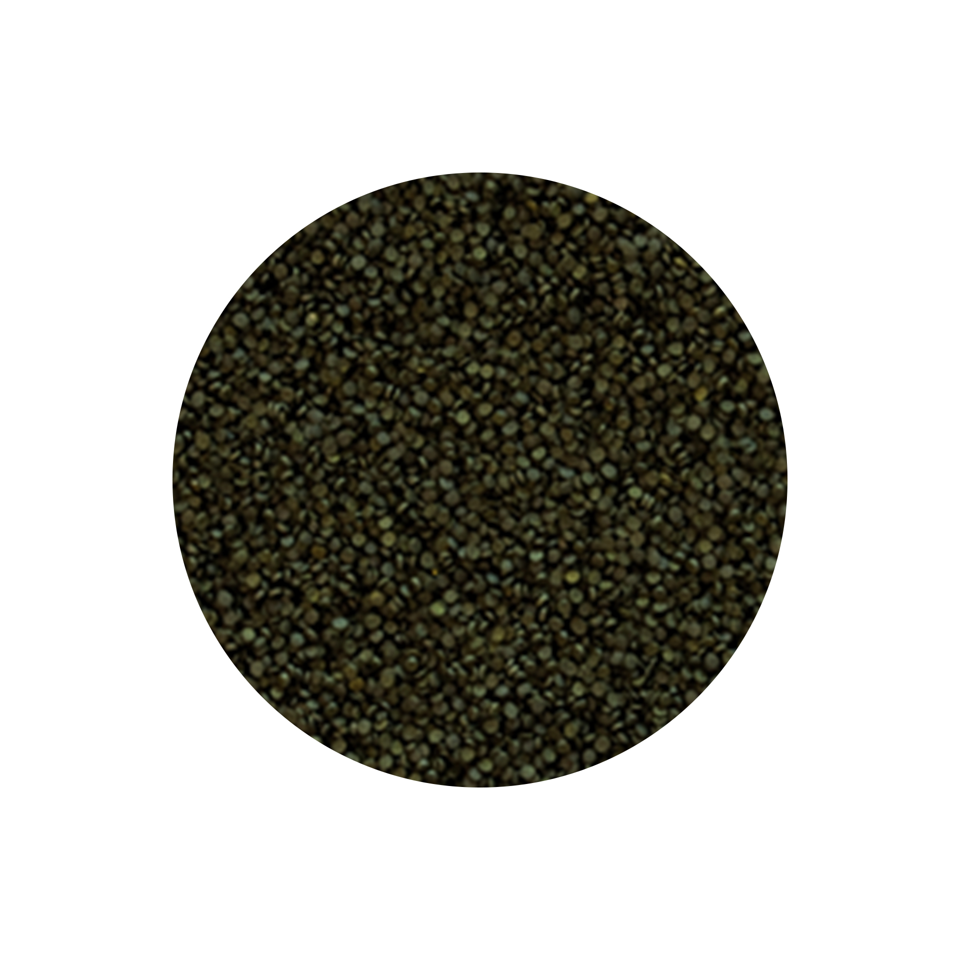 ALIMENTO P/ PEIXES GRANULADO C/ SPIRULINA FORTE - 60GR