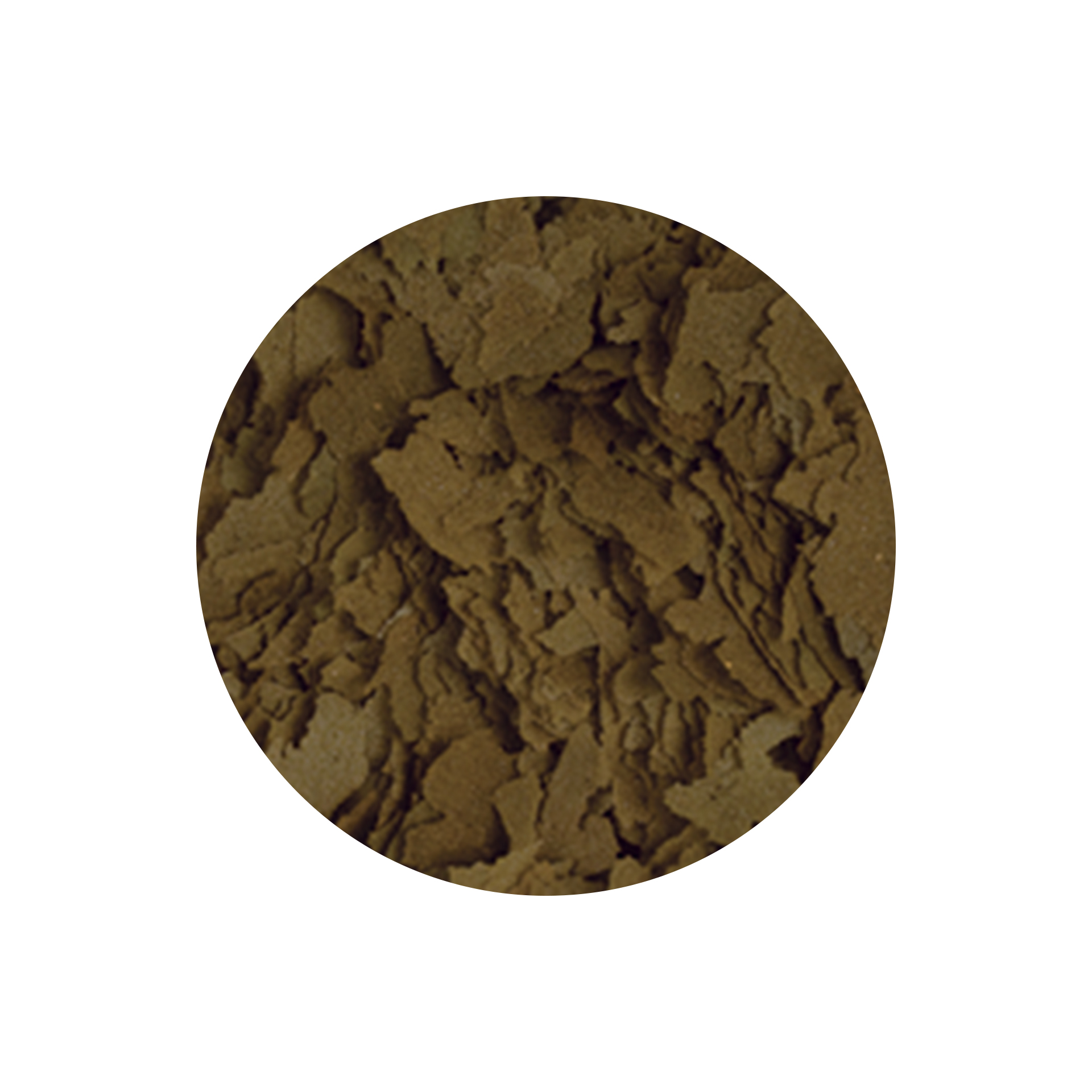 ALIMENTO P/ PEIXES EM FLOCOS C/ SPIRULINA - 20GR