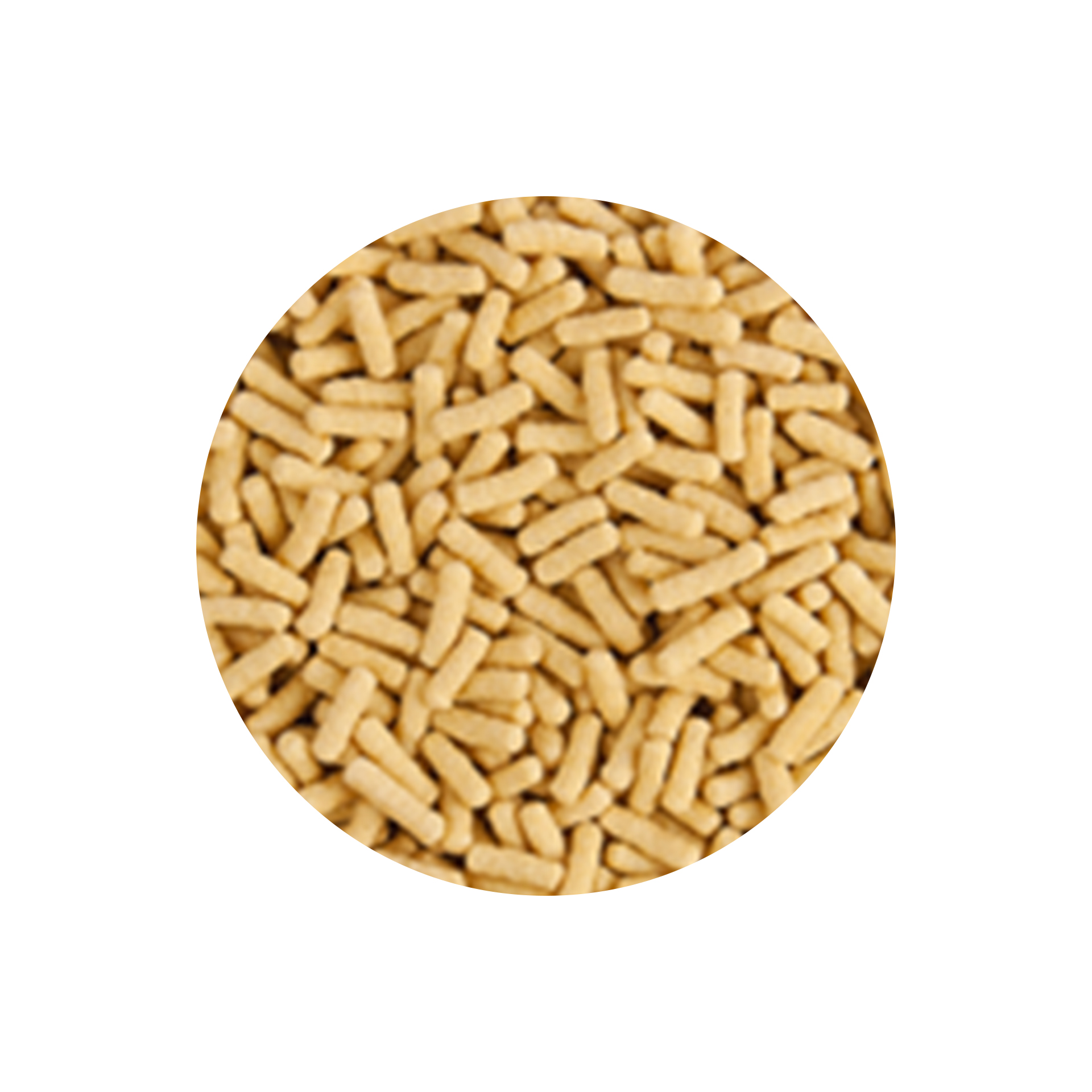 ALIMENTO P/ PEIXES DE LAGO BASIC STICKS - 400GR