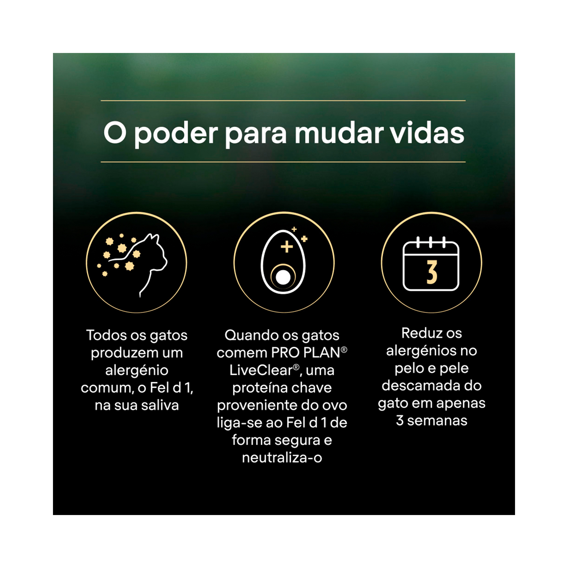 PRO PLAN LIVE CLEAR STERILIZED ADULT SALMAO