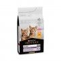 PRO PLAN OPTISTART ORIGINAL KITTEN FRANGO PRO PLAN OPTISTART ORIGINAL KITTEN FRANGO
