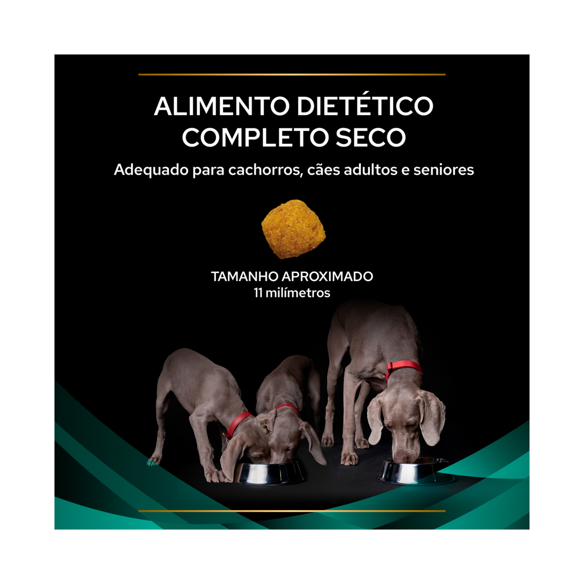 PPVD CAO GASTROINTESTINAL - 12KG