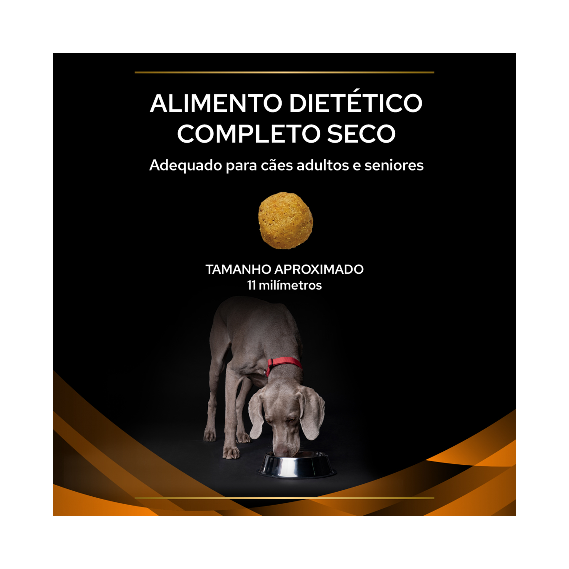 PPVD OM OBESITY MANAGEMENT - 12KG