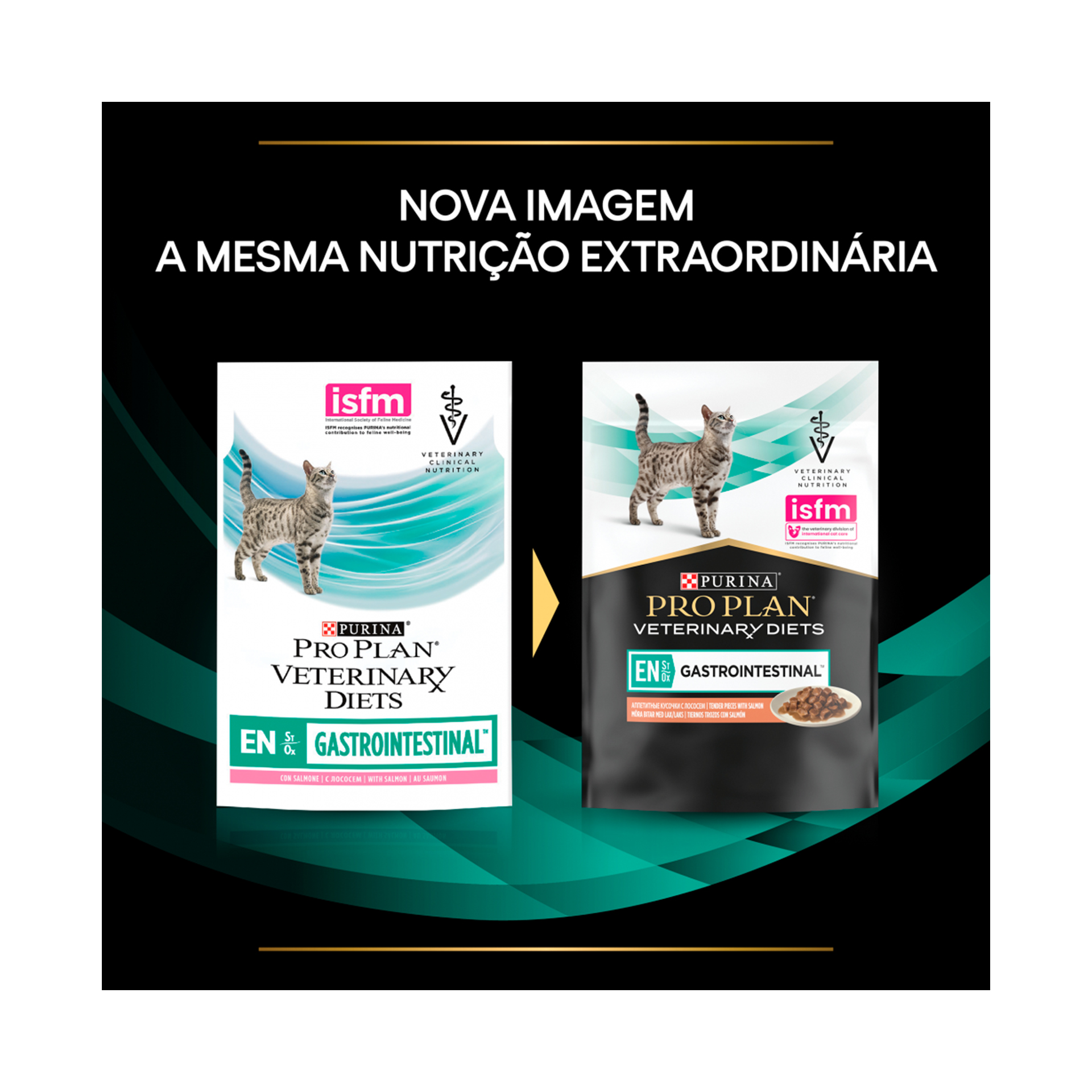 PPVD GATO GASTROINTESTINAL SALMAO - 85GR