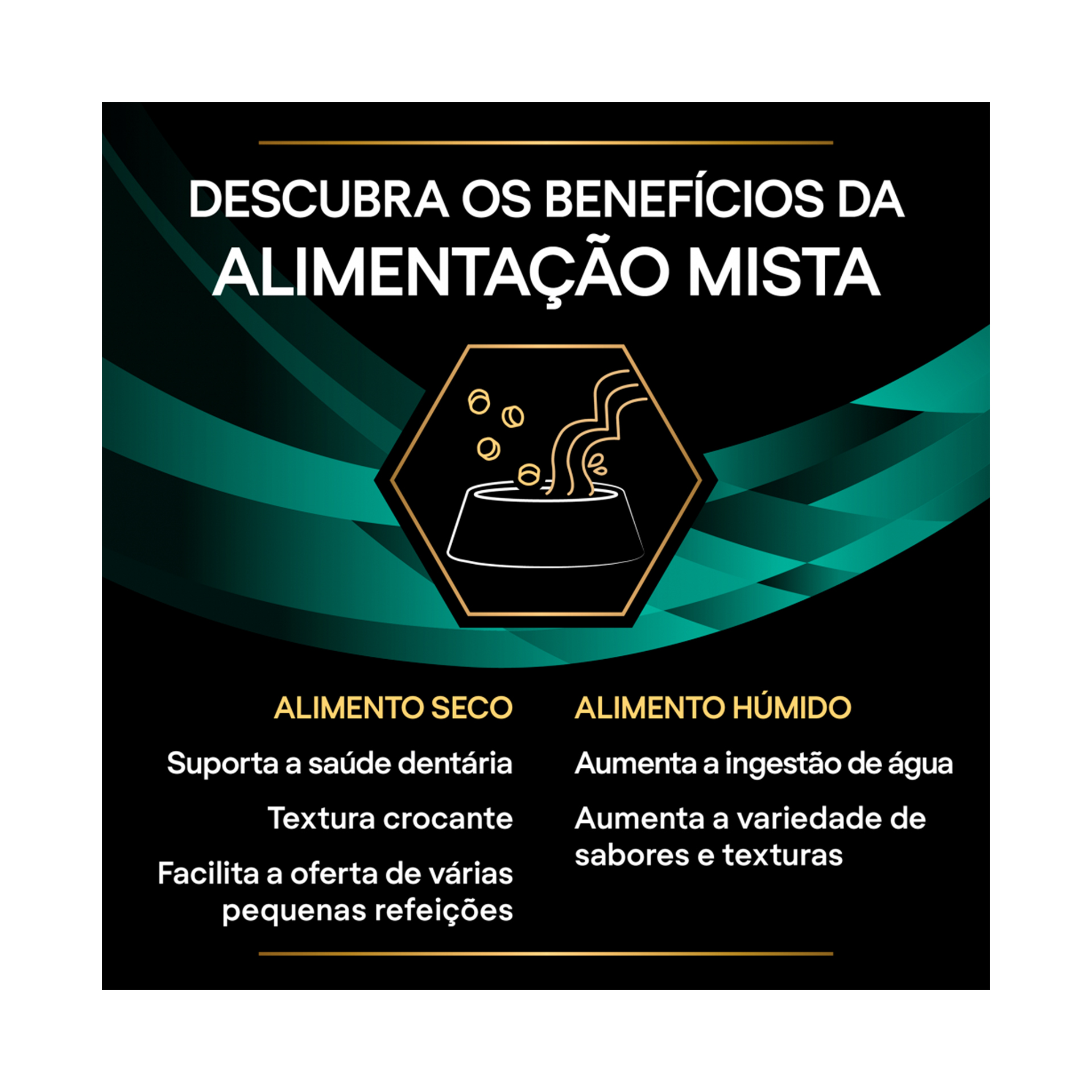 PPVD GATO GASTROINTESTINAL SALMAO - 85GR