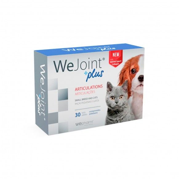 WEJOINT PLUS