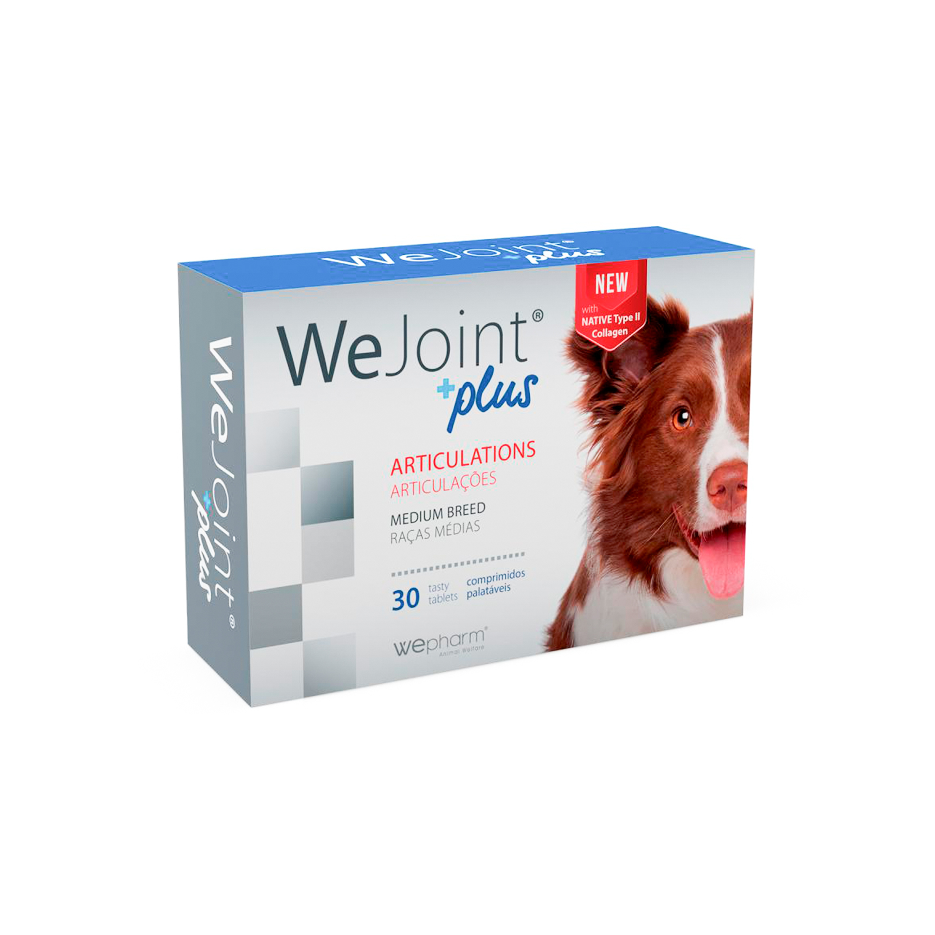 WEJOINT PLUS