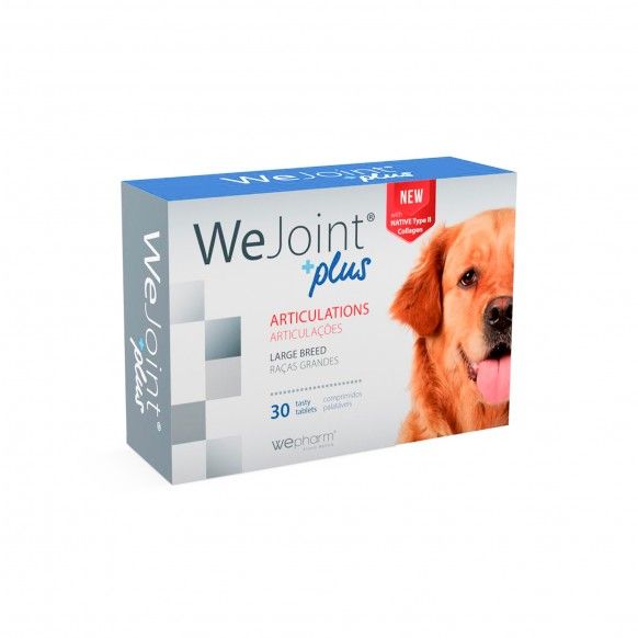 WEJOINT PLUS