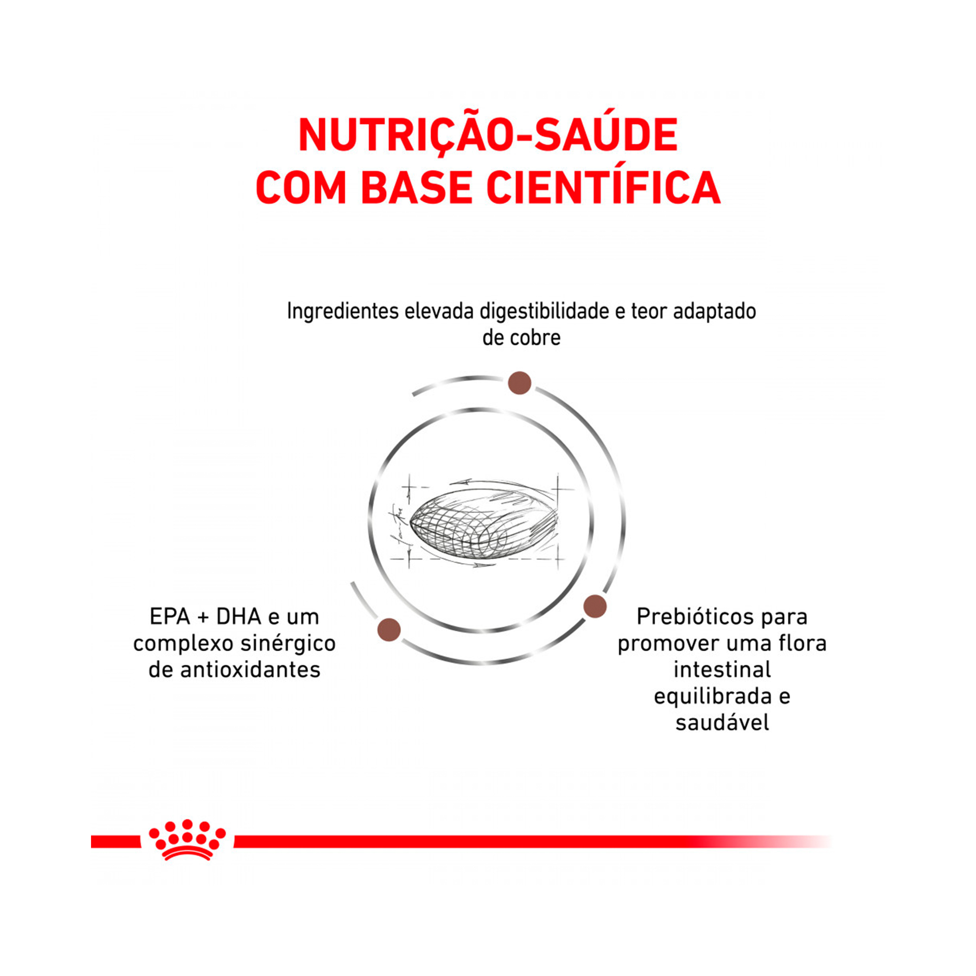 ROYAL CANIN CAO HEPATIC