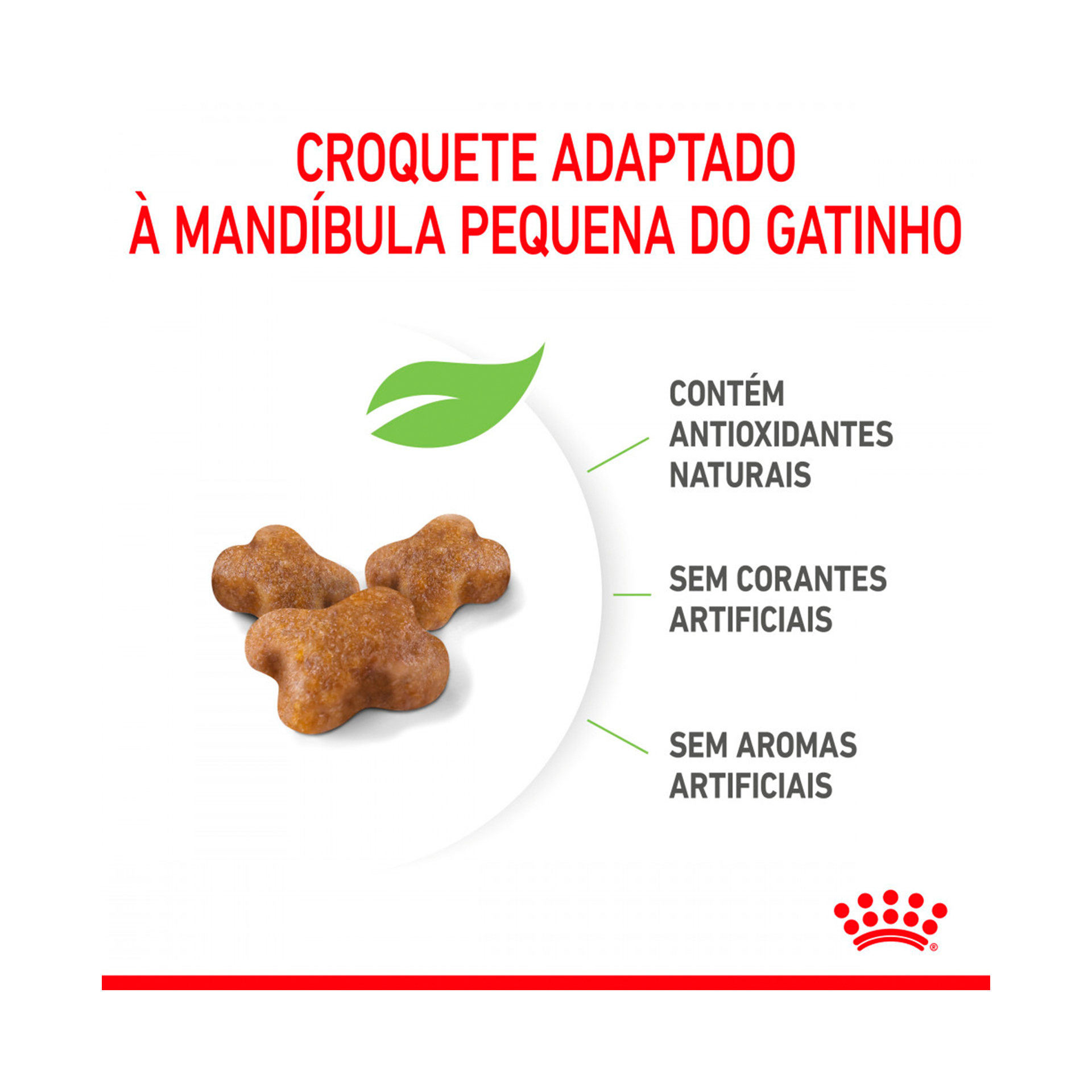 ROYAL CANIN GATINHO