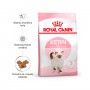 ROYAL CANIN GATINHO ROYAL CANIN GATINHO