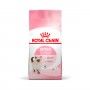ROYAL CANIN GATINHO ROYAL CANIN GATINHO