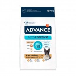 ADVANCE CAO FRENCH BULLDOG