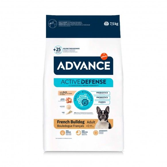 ADVANCE CAO FRENCH BULLDOG