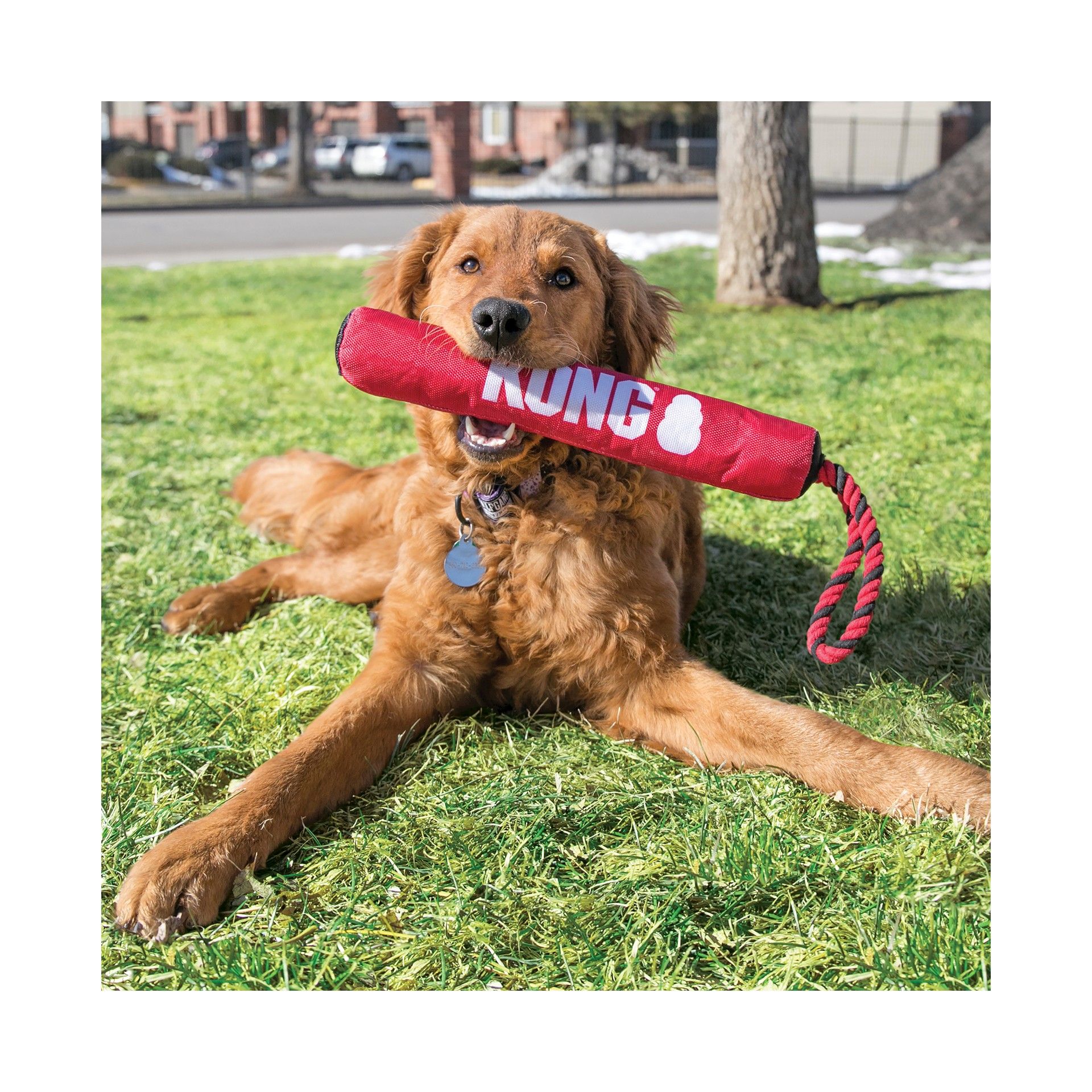 KONG SIGNATURE STICK W/ROPE MEDIUM