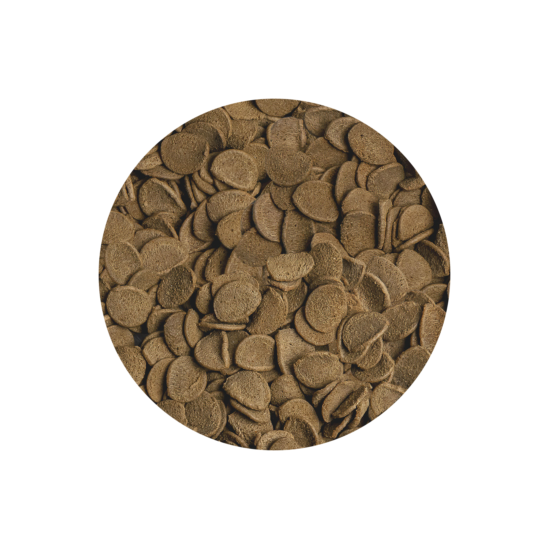 ALIMENTO P/ PEIXES VIPACHIPS NATURE