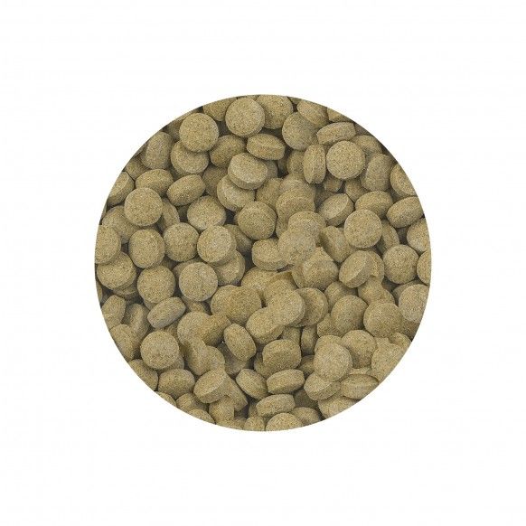 ALIMENTO P/ PEIXES GATO VIFORMO NATURE - 33GR
