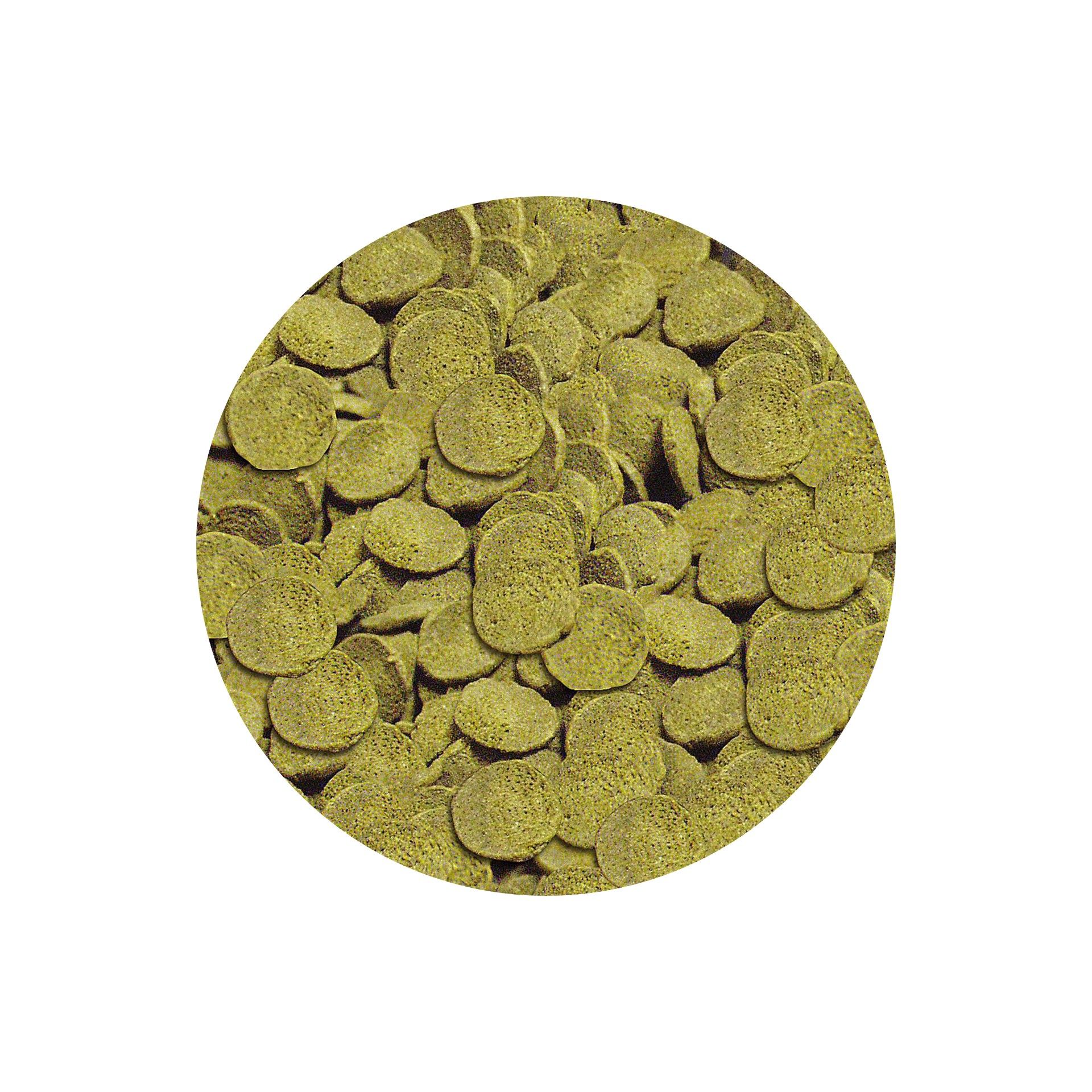 ALIMENTO P/ ANCISTRUS WELS-CHIPS NATURE - 38GR