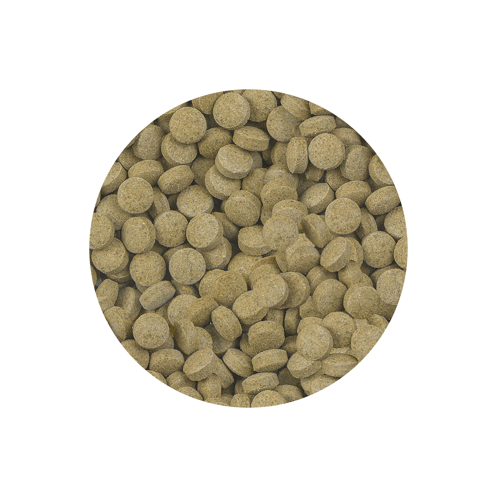 ALIMENTO P/ PEIXES GATO VIFORMO NATURE - 33GR