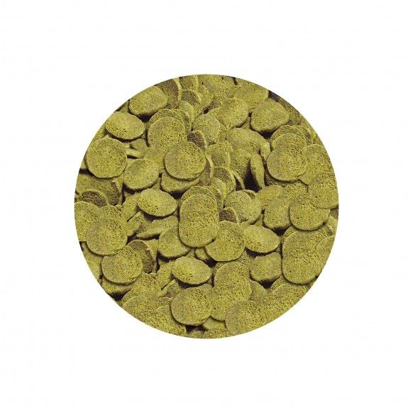 ALIMENTO P/ ANCISTRUS WELS-CHIPS NATURE - 38GR