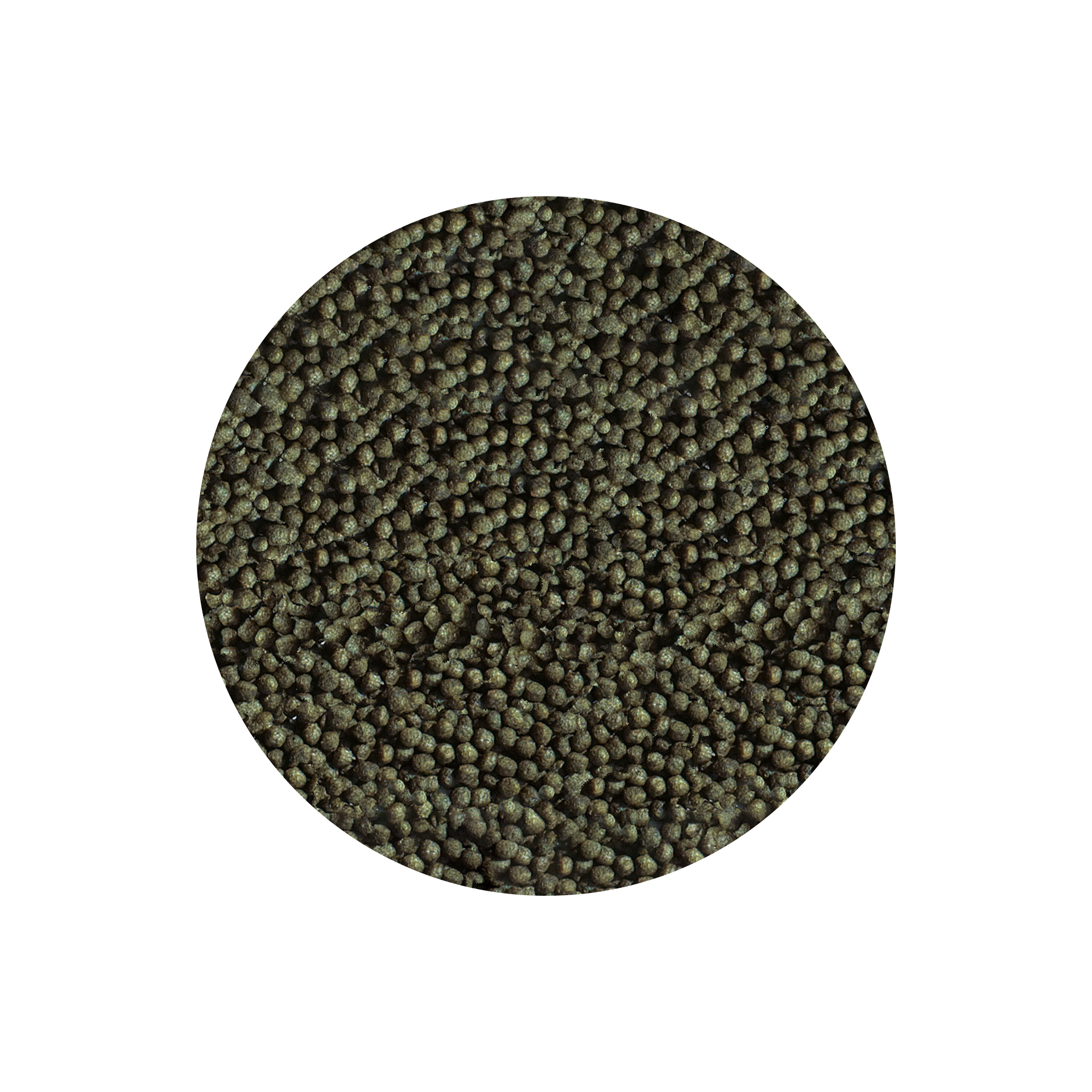 ALIMENTO P/ PEIXES GOLDY COLOR SPIRULINA NATURE - 39GR