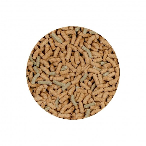 ALIMENTO P/ TARTAGURAS RAFFY P NATURE - 55GR ALIMENTO P/ TARTAGURAS RAFFY P NATURE - 55GR