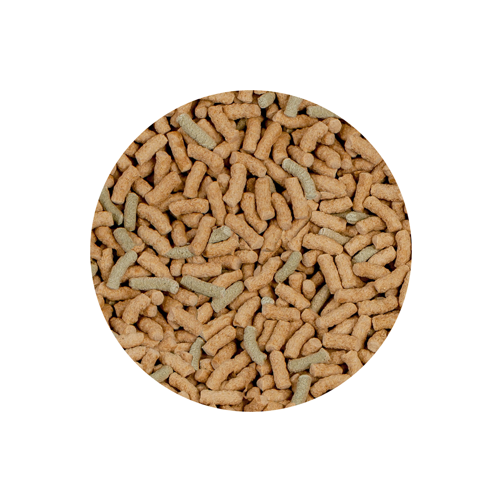 ALIMENTO P/ TARTAGURAS RAFFY P NATURE - 55GR