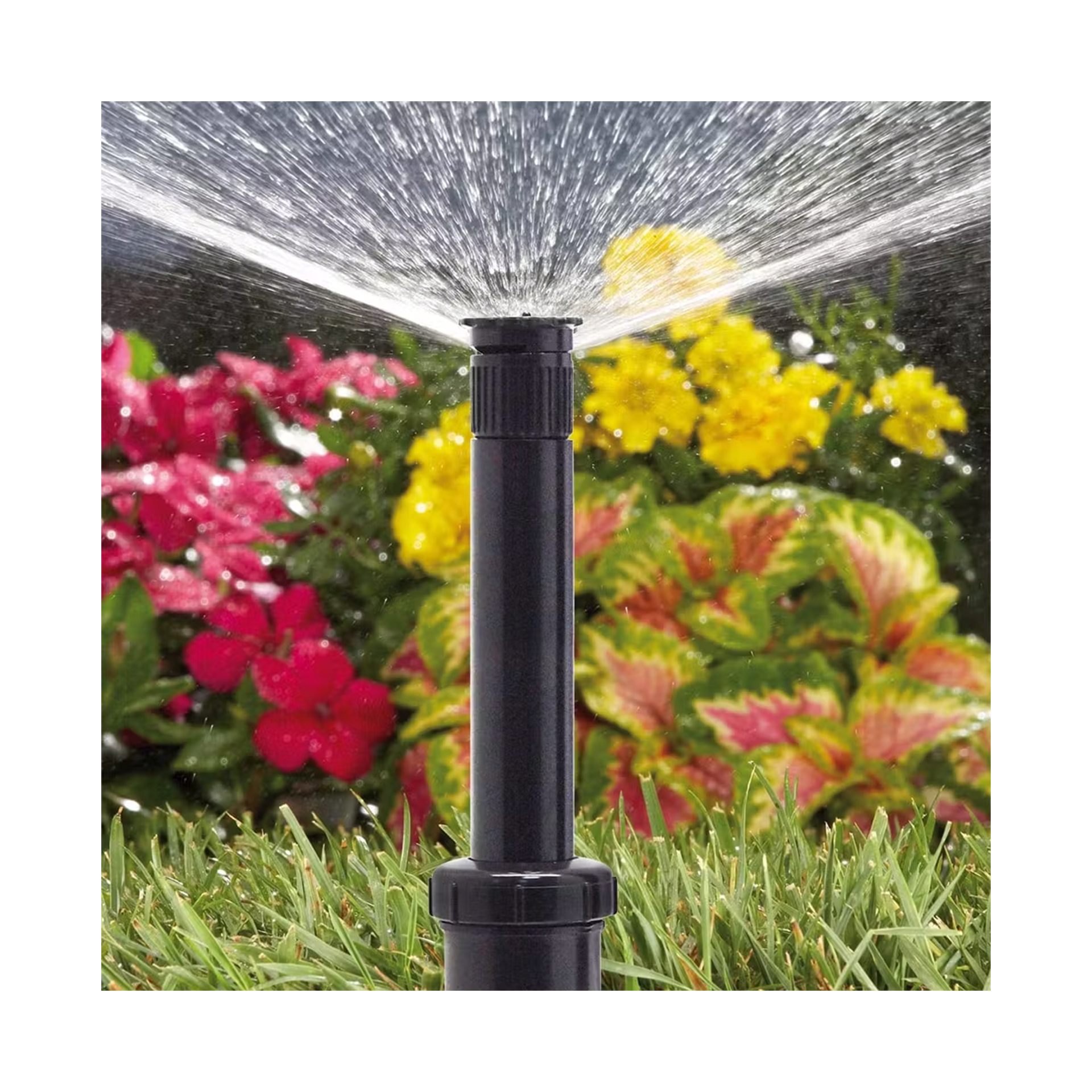 ASPERSOR C/ BICO 360º - 10CM