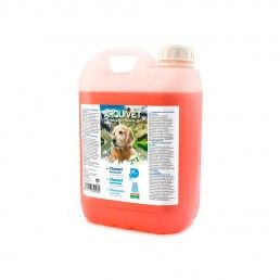 CHAMPO DESODORIZANTE 2 EM 1 - 5LT